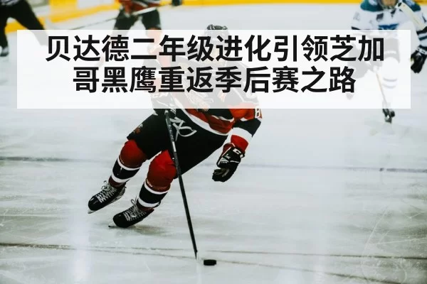 贝达德二年级进化引领芝加哥黑鹰重返季后赛之路